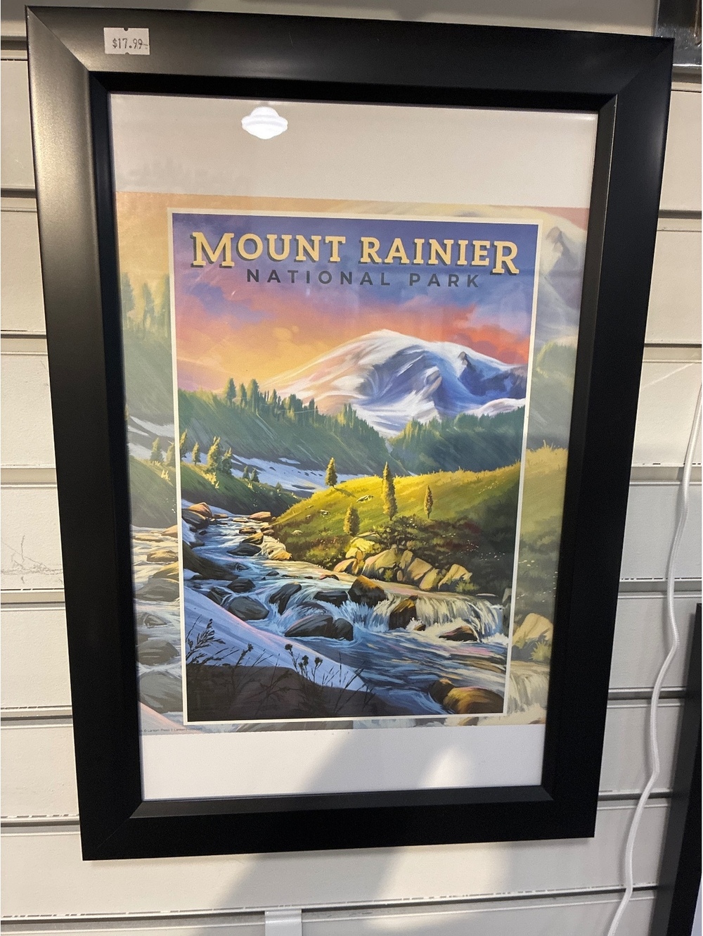 Mount Rainier National Park Picture with frame